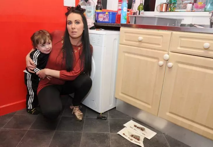 Janine Adams with her little boy Sonny 2,and mouse trap and rat glue traps in her kitchen.